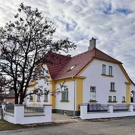 Ubytovani U Holoubka Villa Pasohlávky Esterno foto